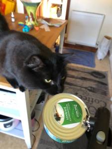 43519231_1092977300871958_5877067208705703936_n